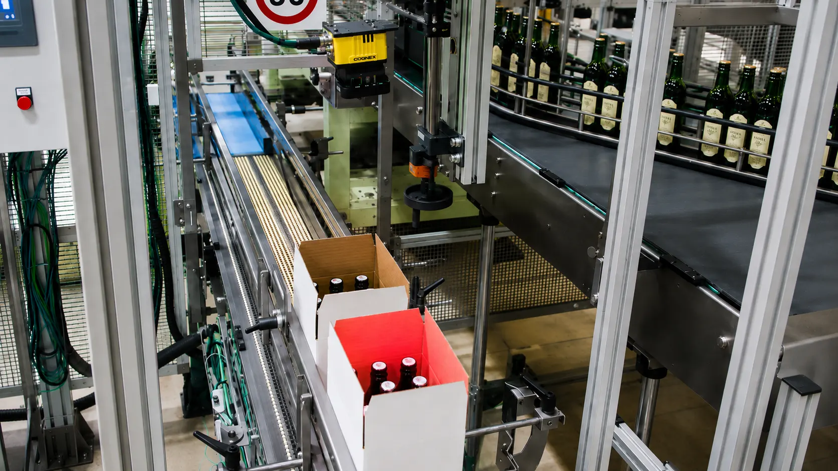 Máquina automática embotellando vino en cajas de cartón
